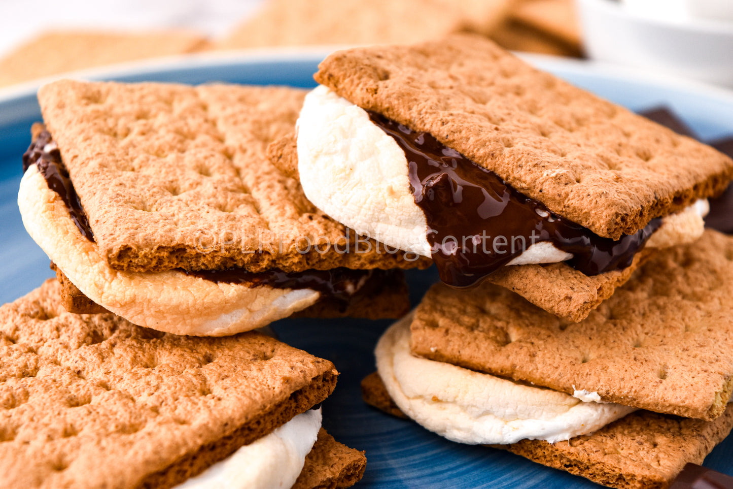 Air Fryer S'mores + VIDEO (PLR)