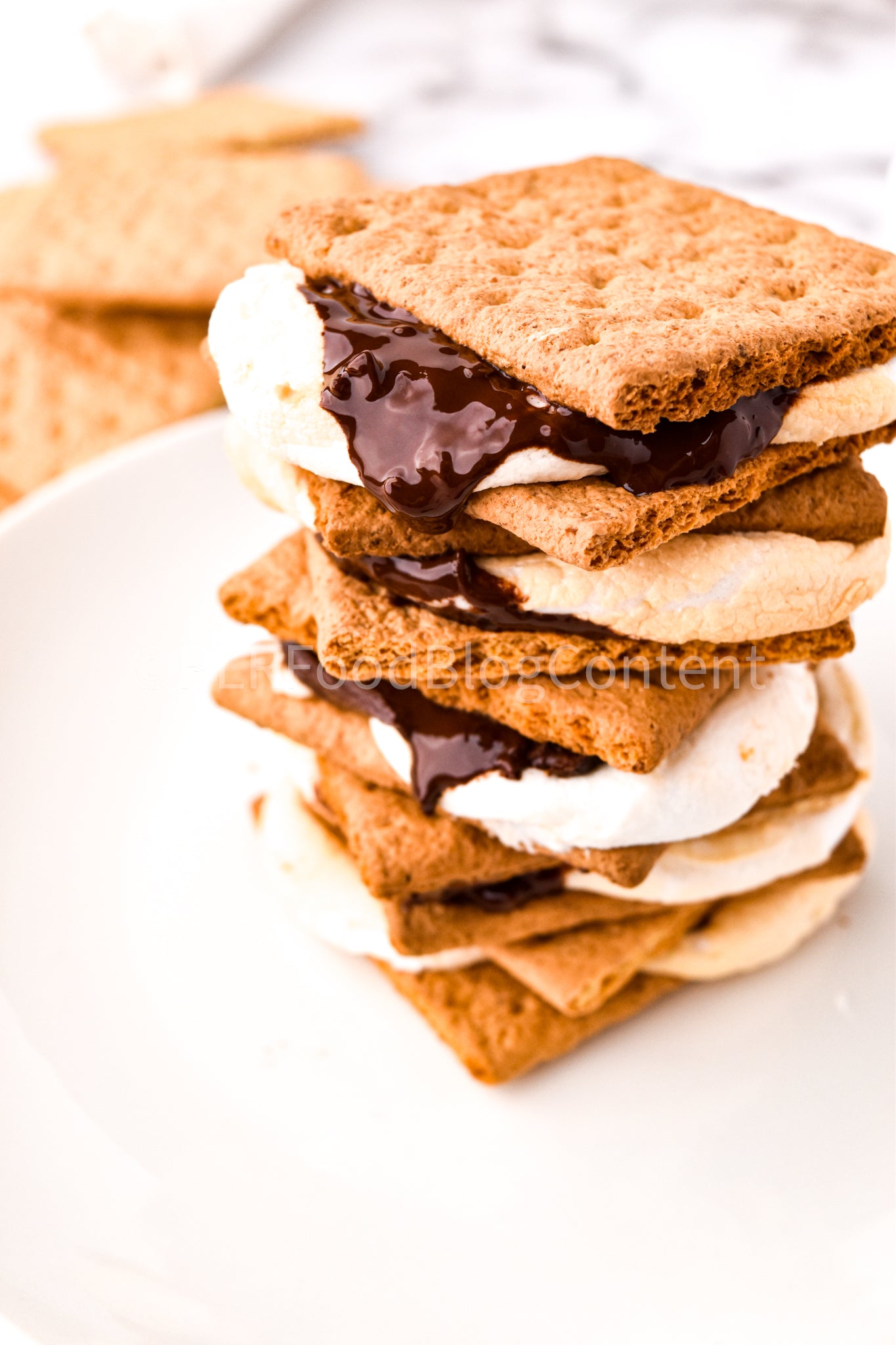 Air Fryer S'mores + VIDEO (PLR)