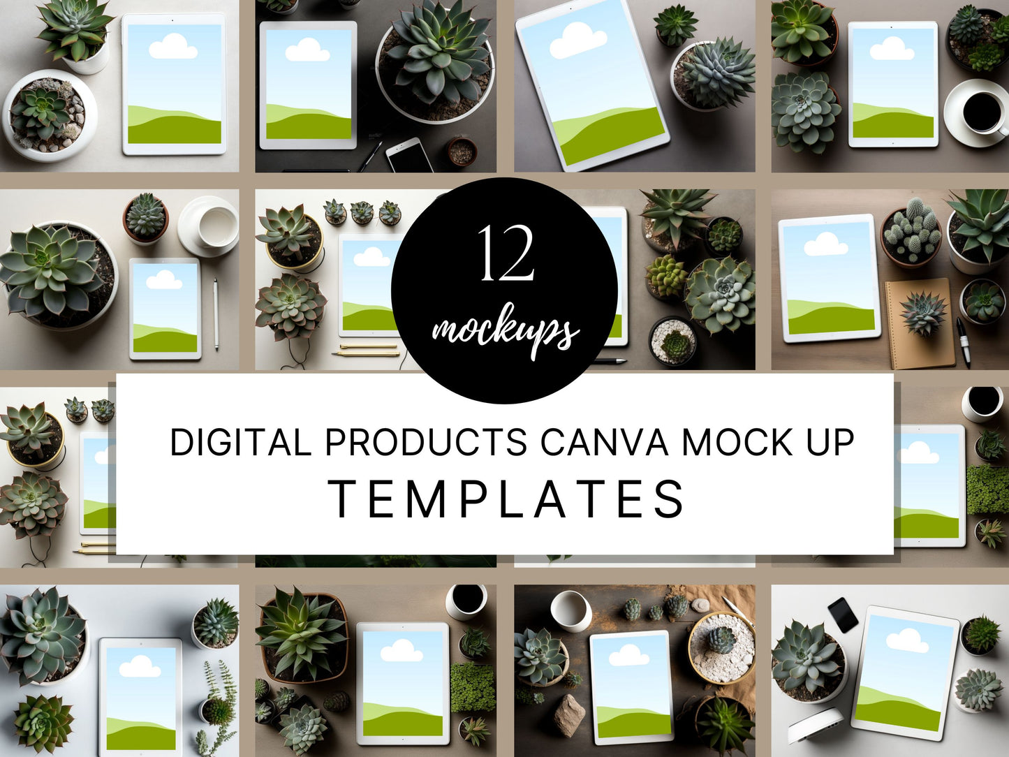 Digital Product Mockup | Succulents