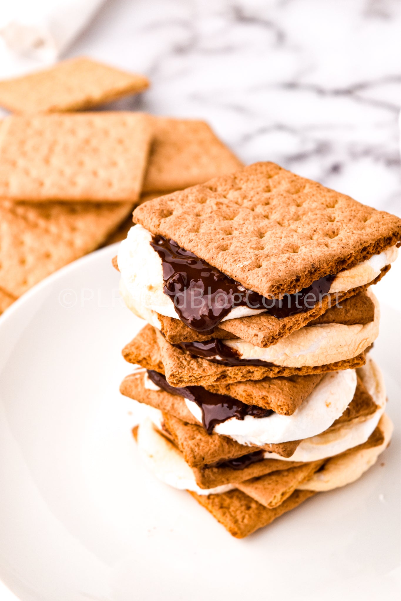 Air Fryer S'mores + VIDEO (PLR)