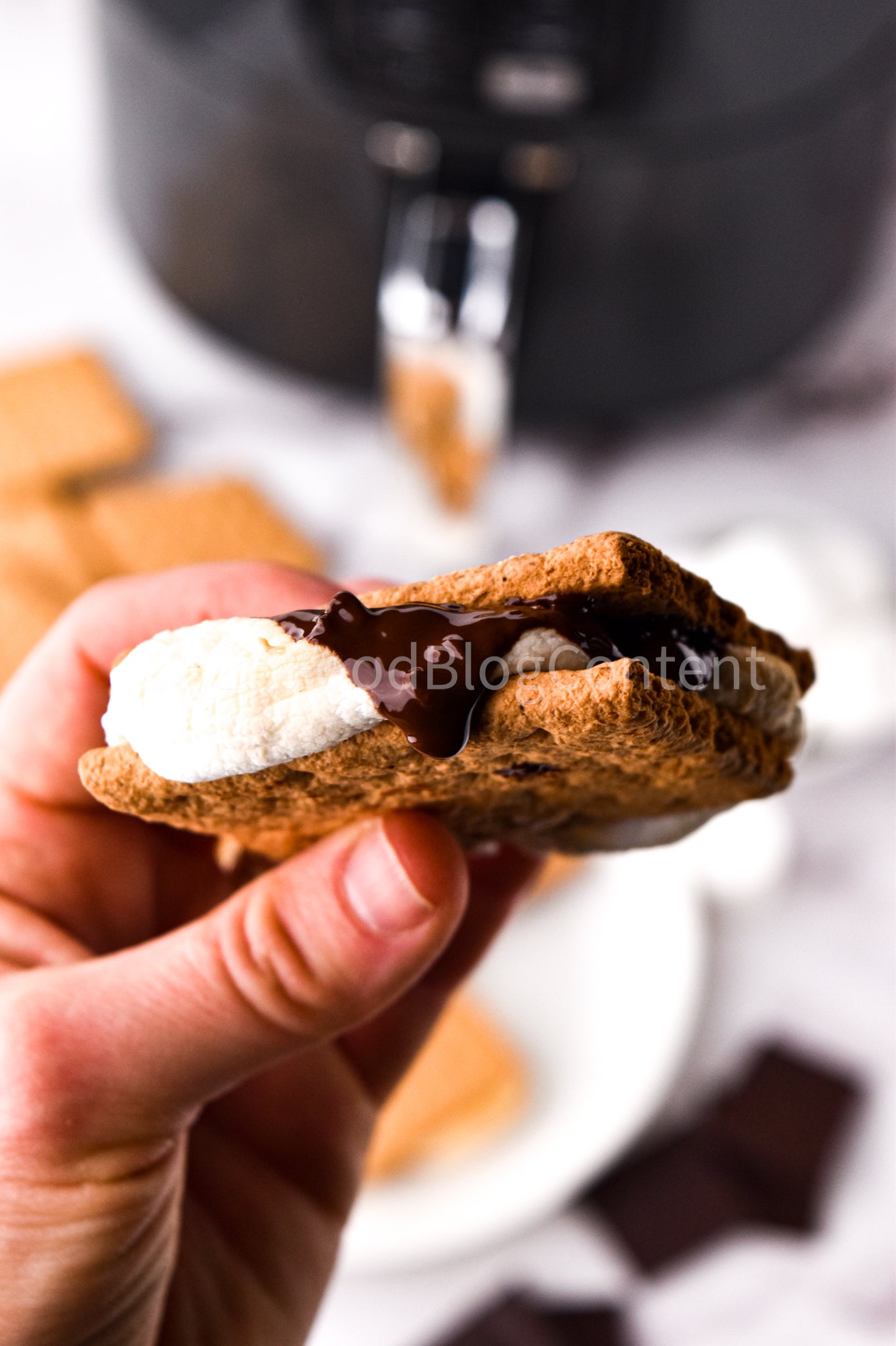 Air Fryer S'mores + VIDEO (PLR)