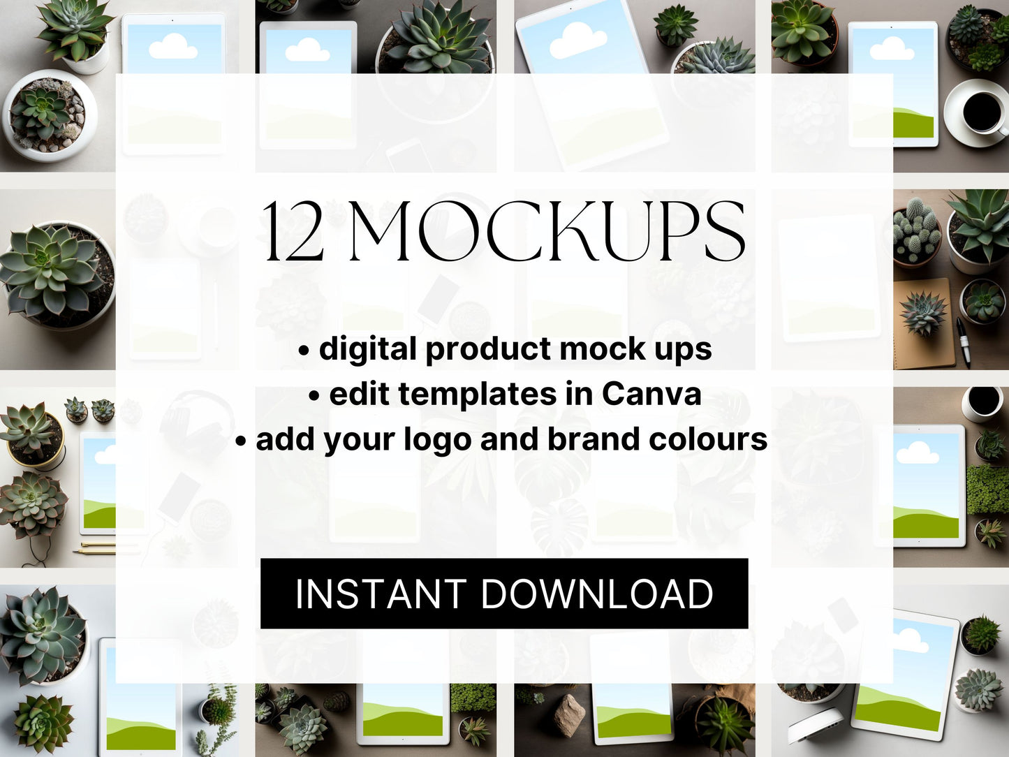 Digital Product Mockup | Succulents