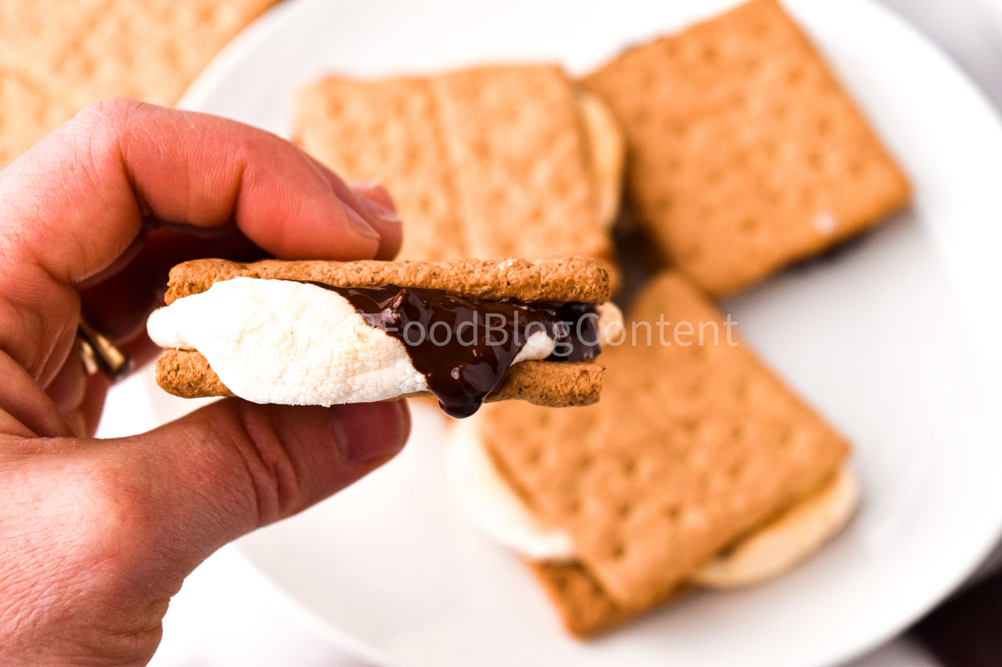 Air Fryer S'mores + VIDEO (PLR)