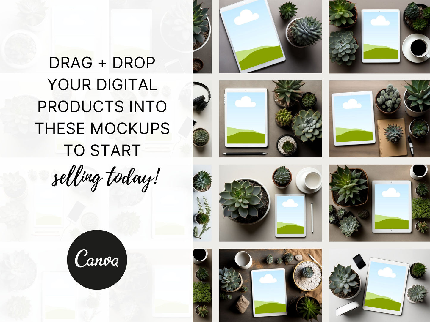 Digital Product Mockup | Succulents