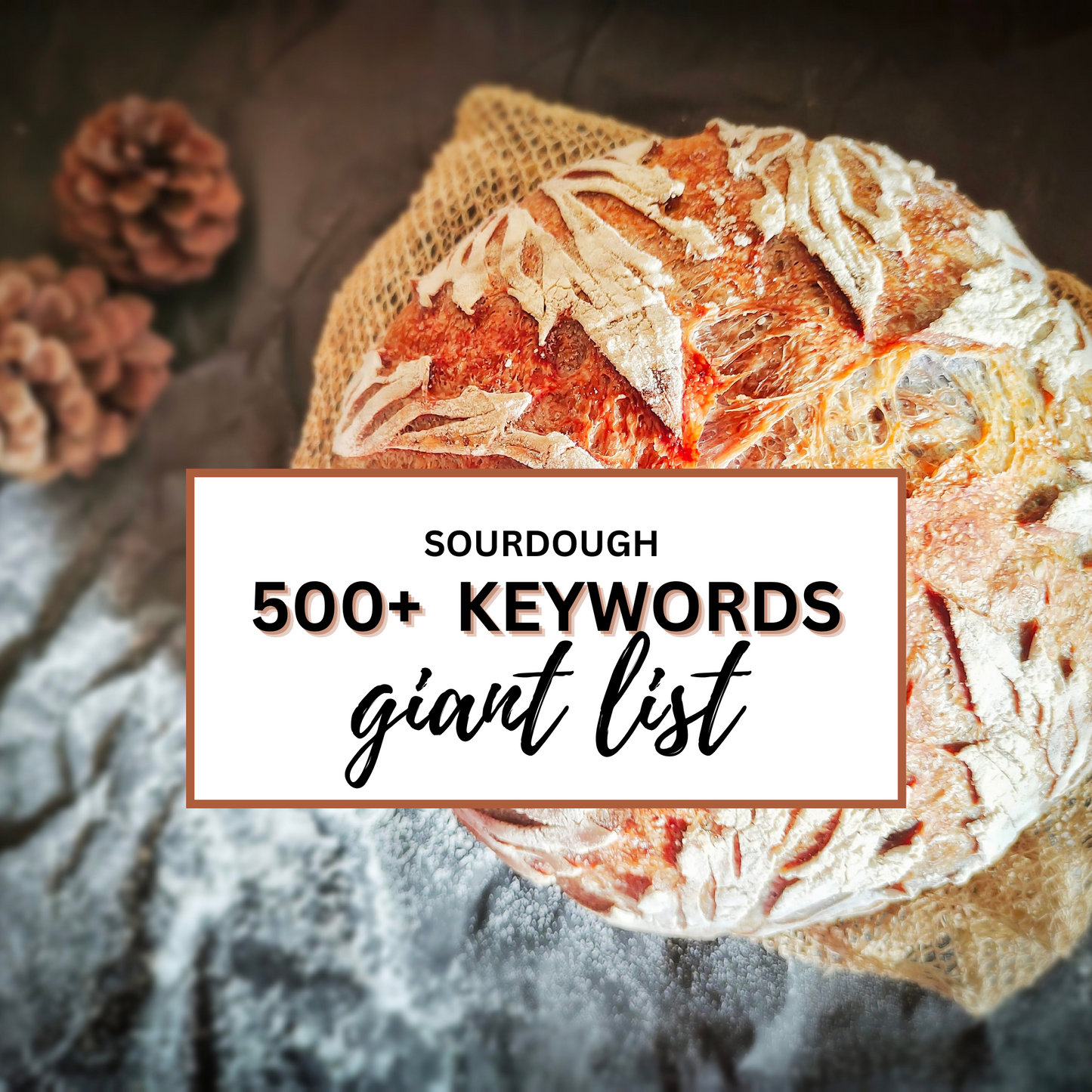 500+ Sourdough Keywords | Food Blog Website SEO