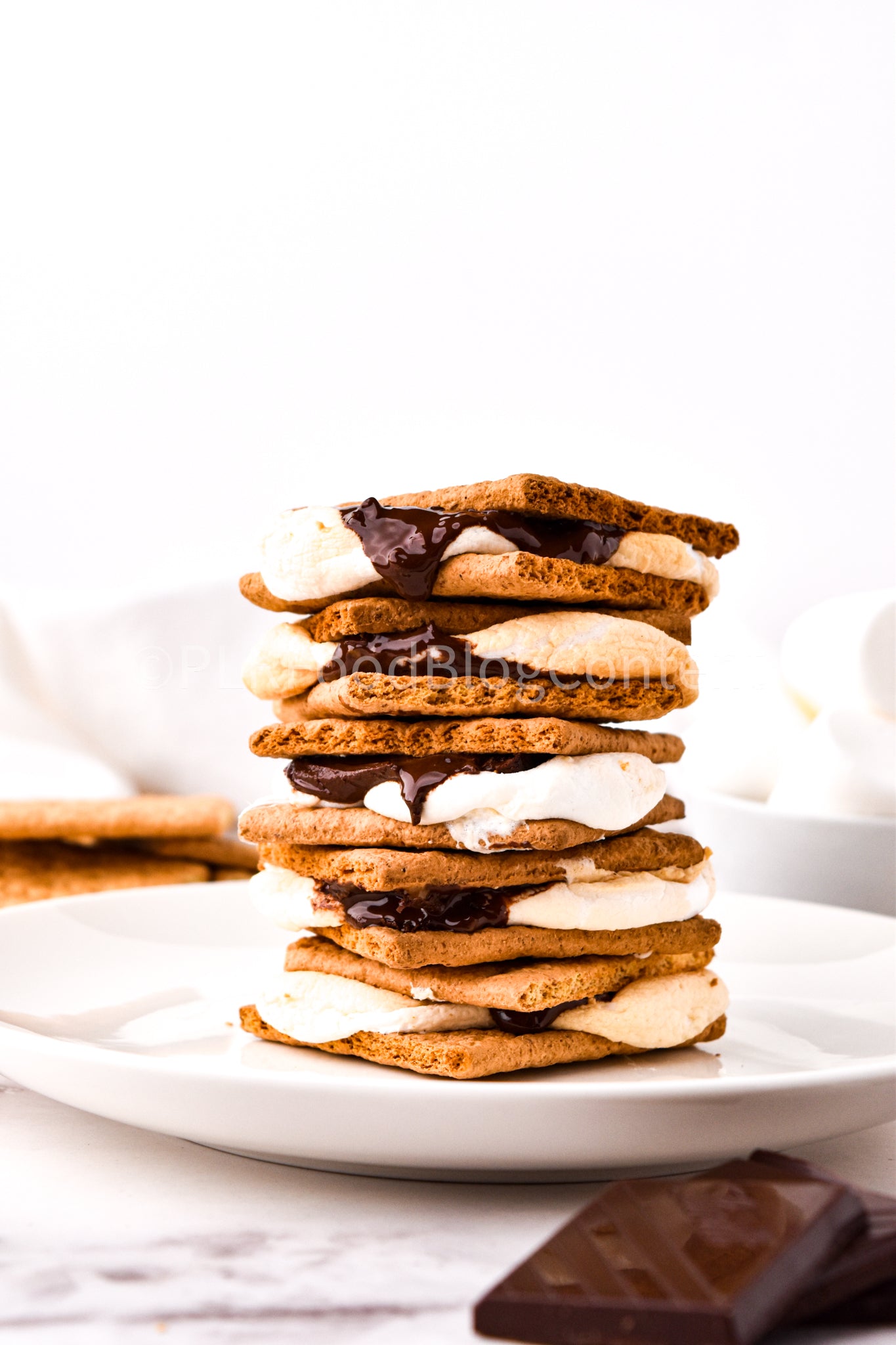 Air Fryer S'mores + VIDEO (PLR)
