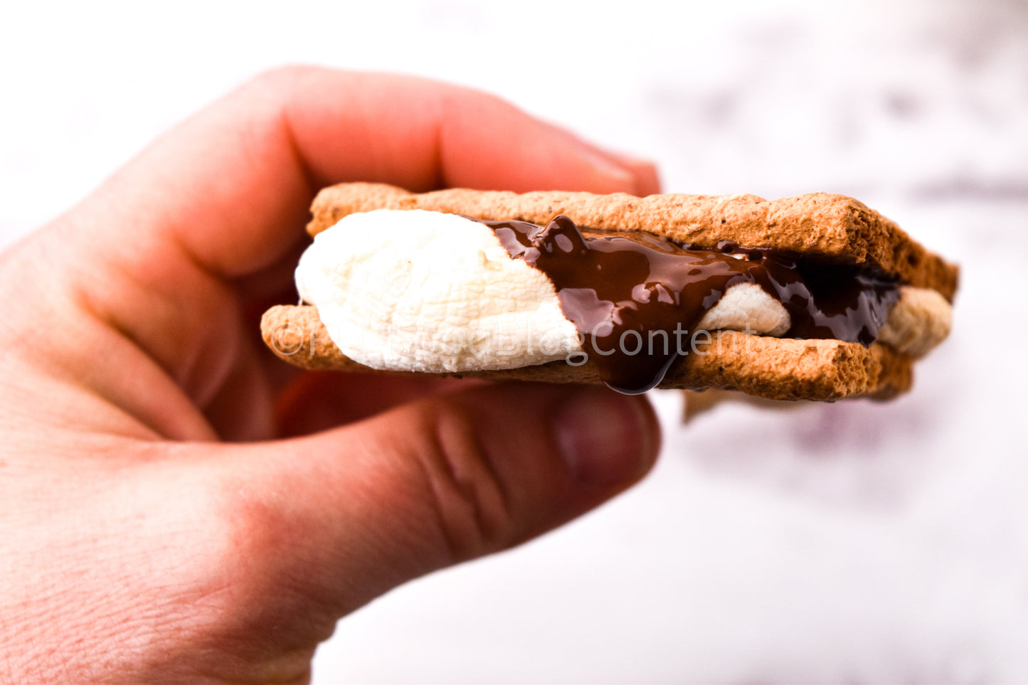 Air Fryer S'mores + VIDEO (PLR)