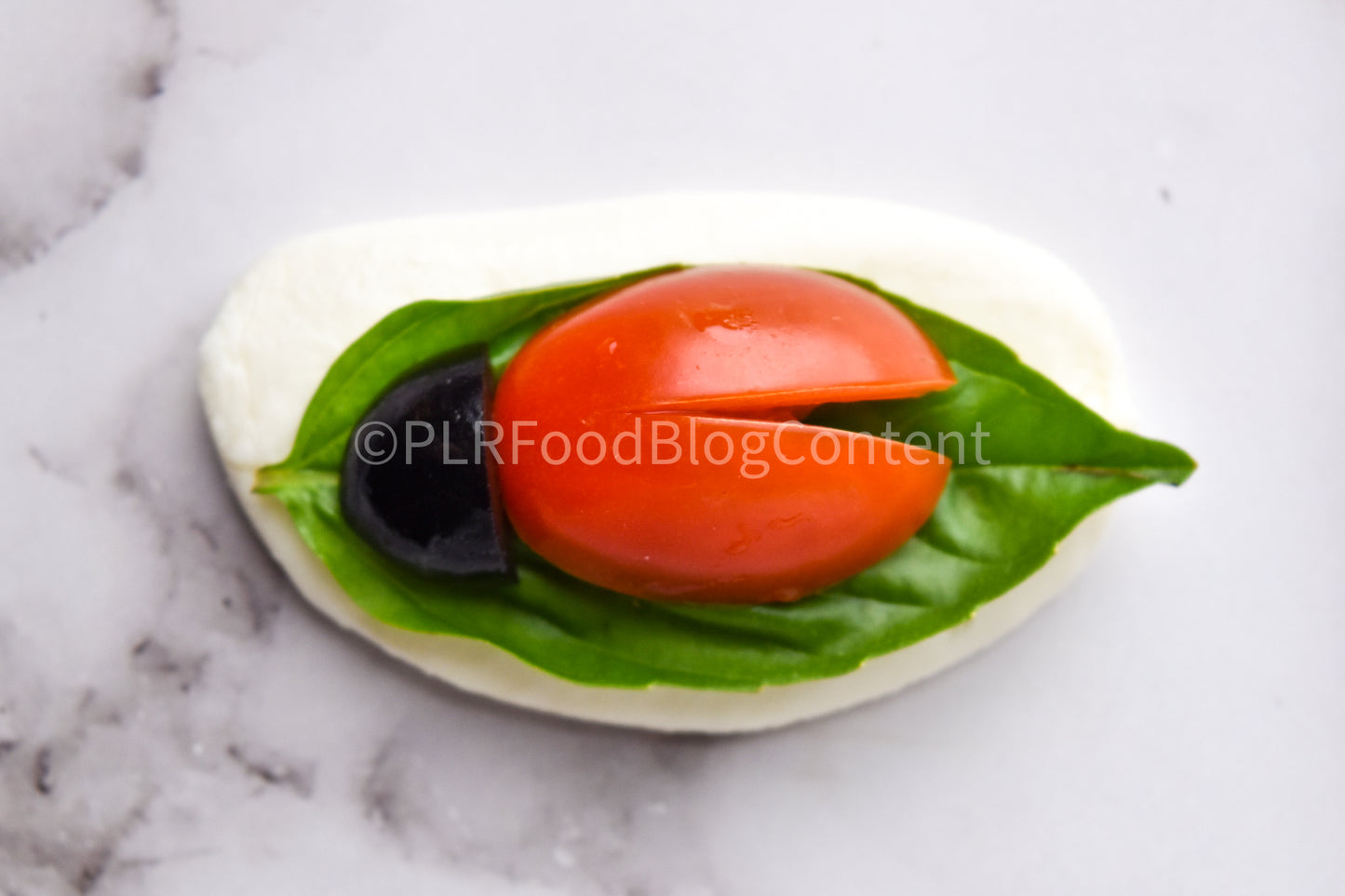 Caprese Ladybug Appetizer + VIDEO (PLR)