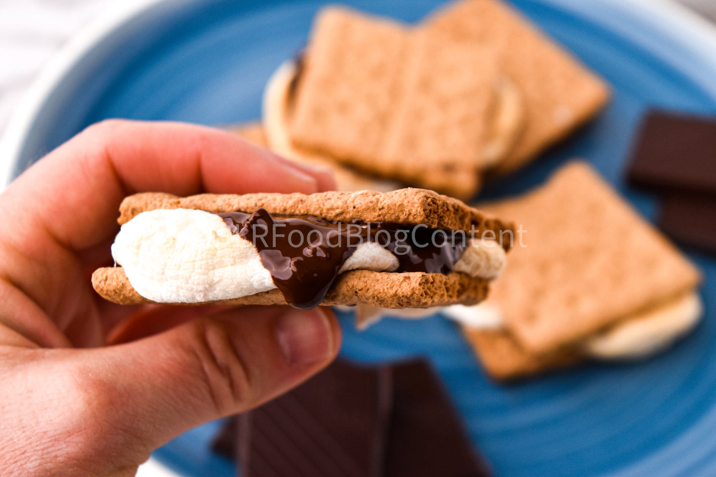 Air Fryer S'mores + VIDEO (PLR)