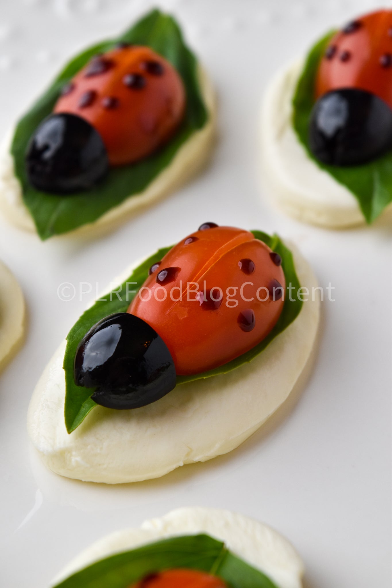 Caprese Ladybug Appetizer + VIDEO (PLR)