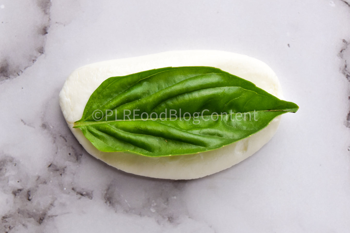 Caprese Ladybug Appetizer + VIDEO (PLR)