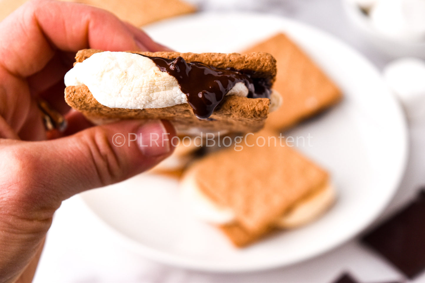 Air Fryer S'mores + VIDEO (PLR)