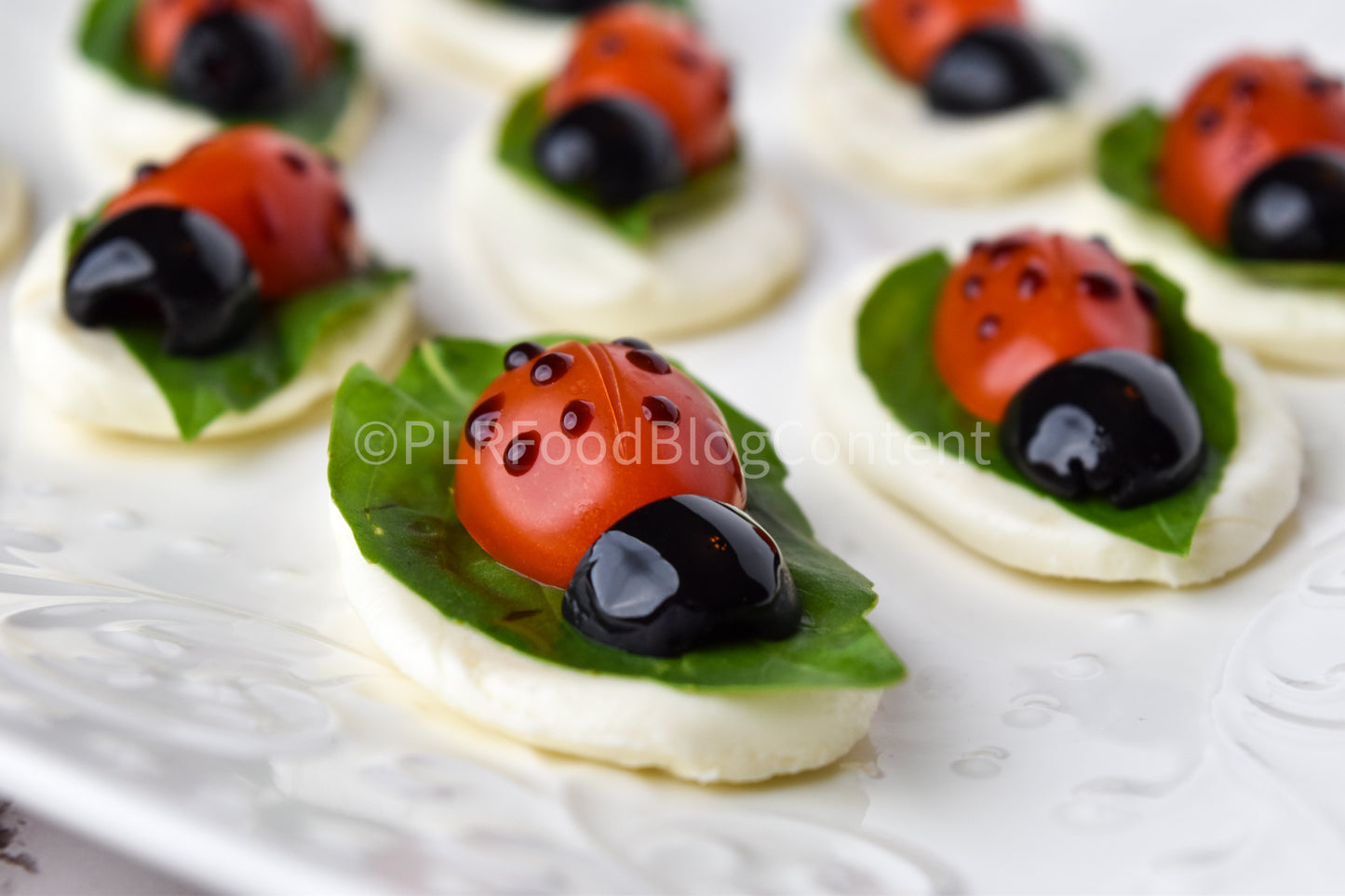 Caprese Ladybug Appetizer + VIDEO (PLR)