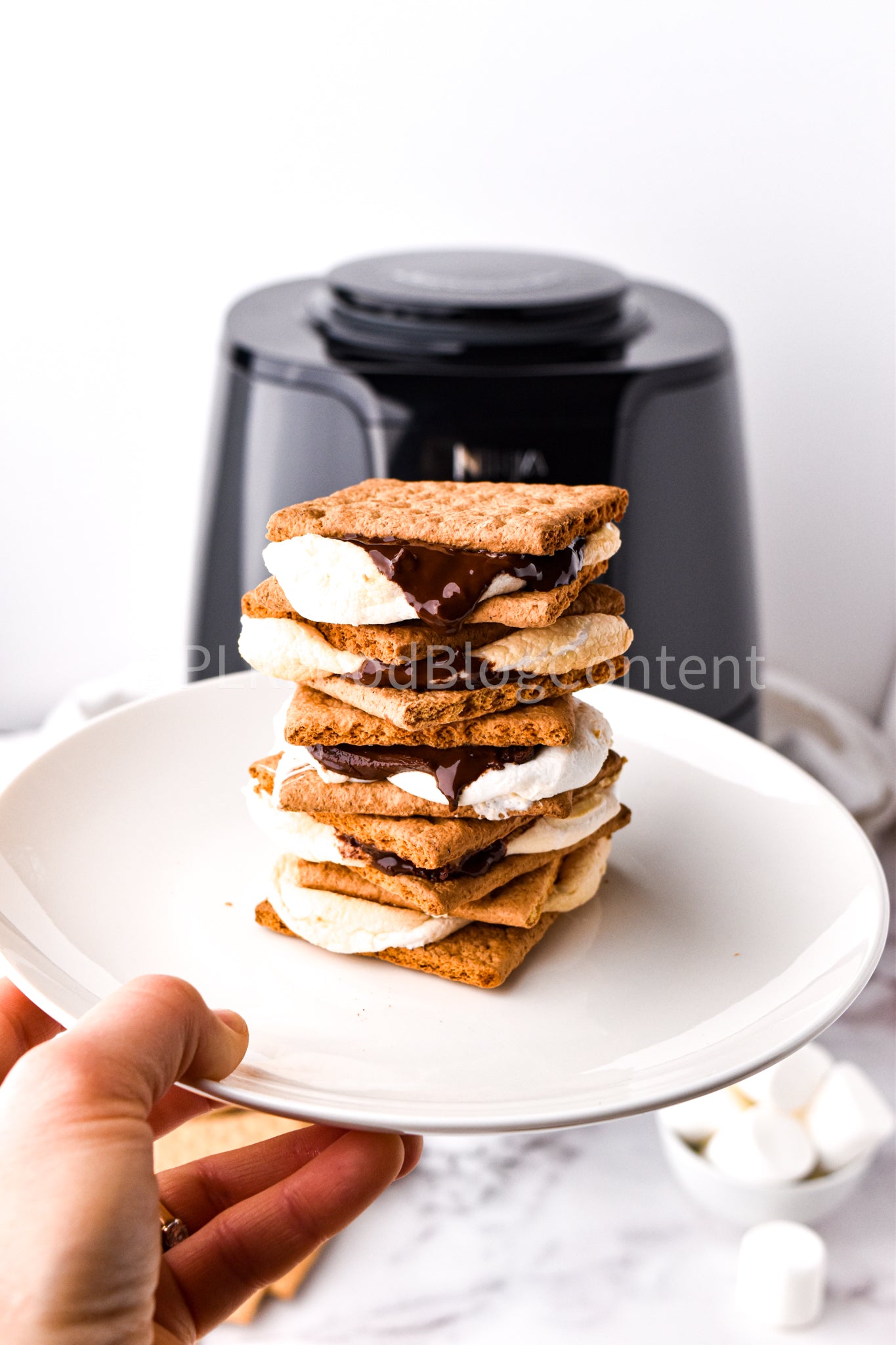Air Fryer S'mores + VIDEO (PLR)