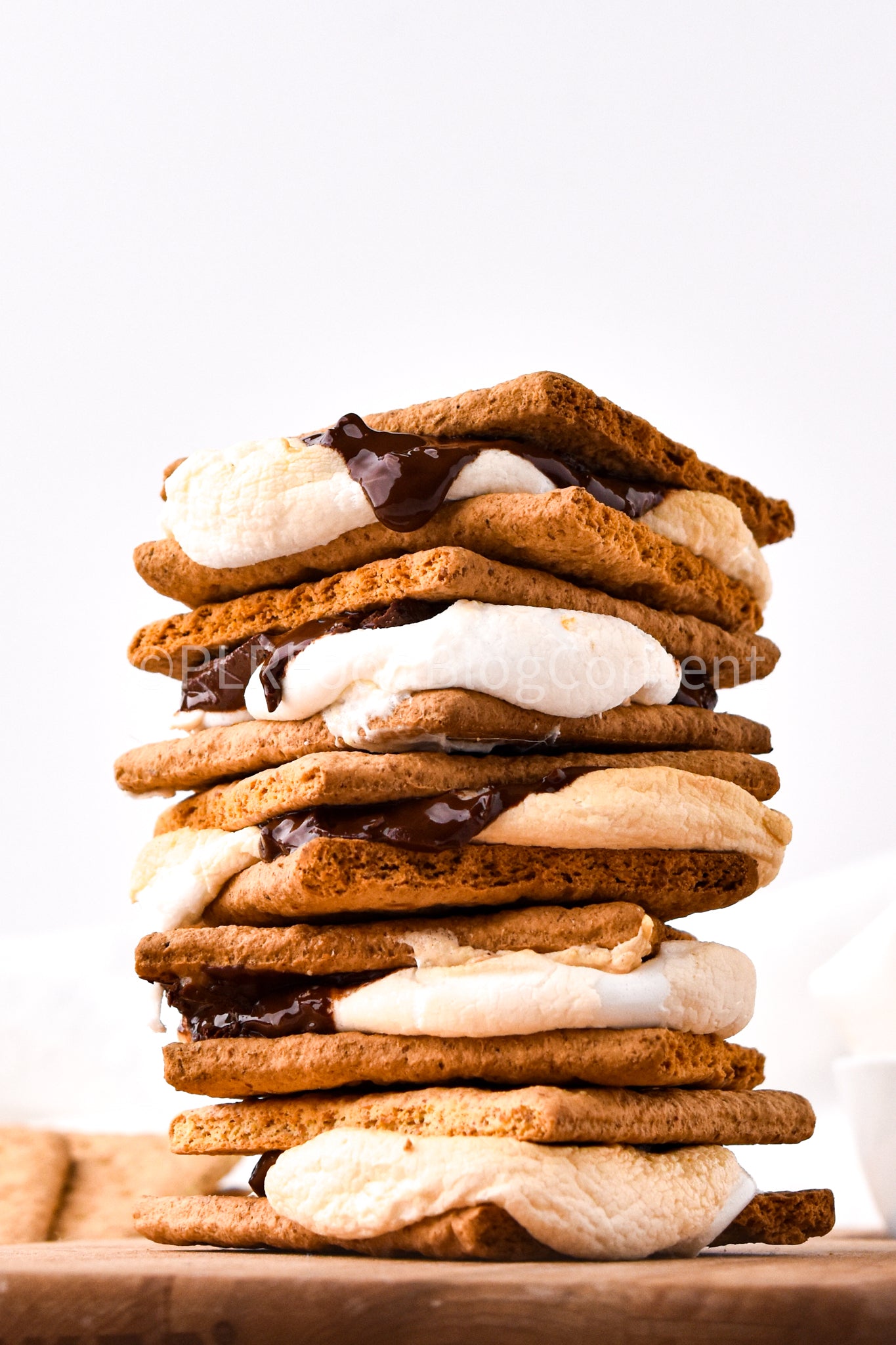Air Fryer S'mores + VIDEO (PLR)