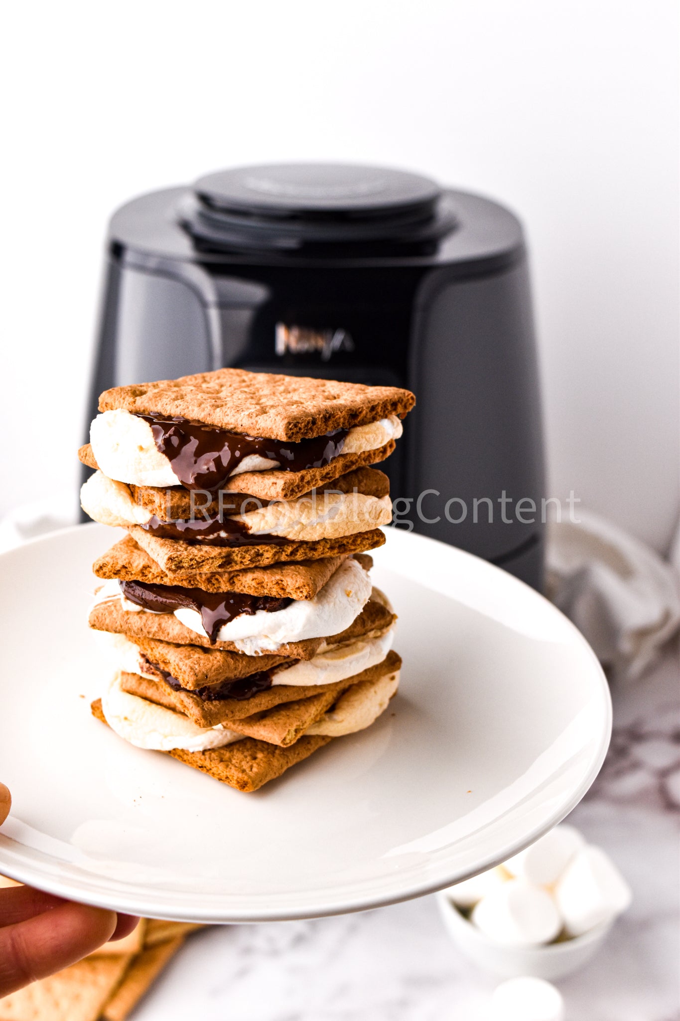 Air Fryer S'mores + VIDEO (PLR)